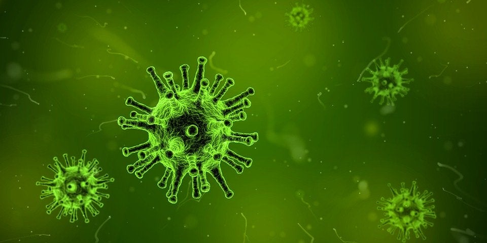 green virus
