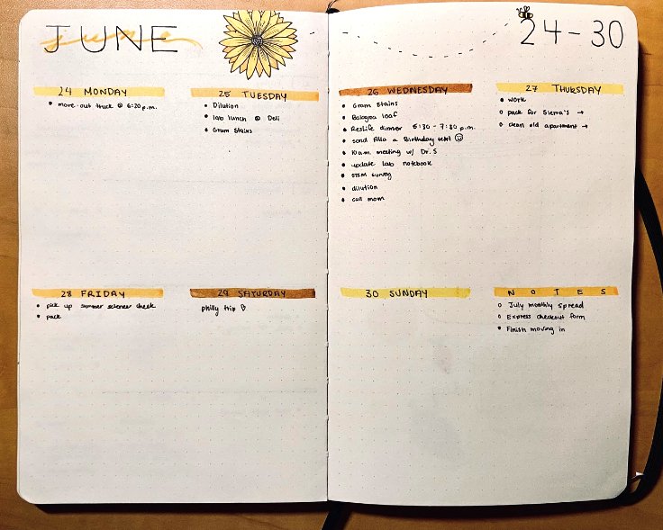 bullet journal