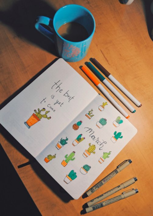 bullet journal
