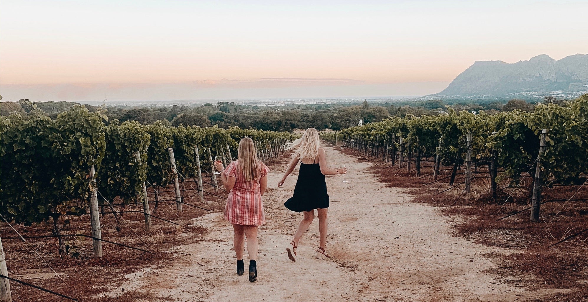 dancing through a wine vineyard in south africa
