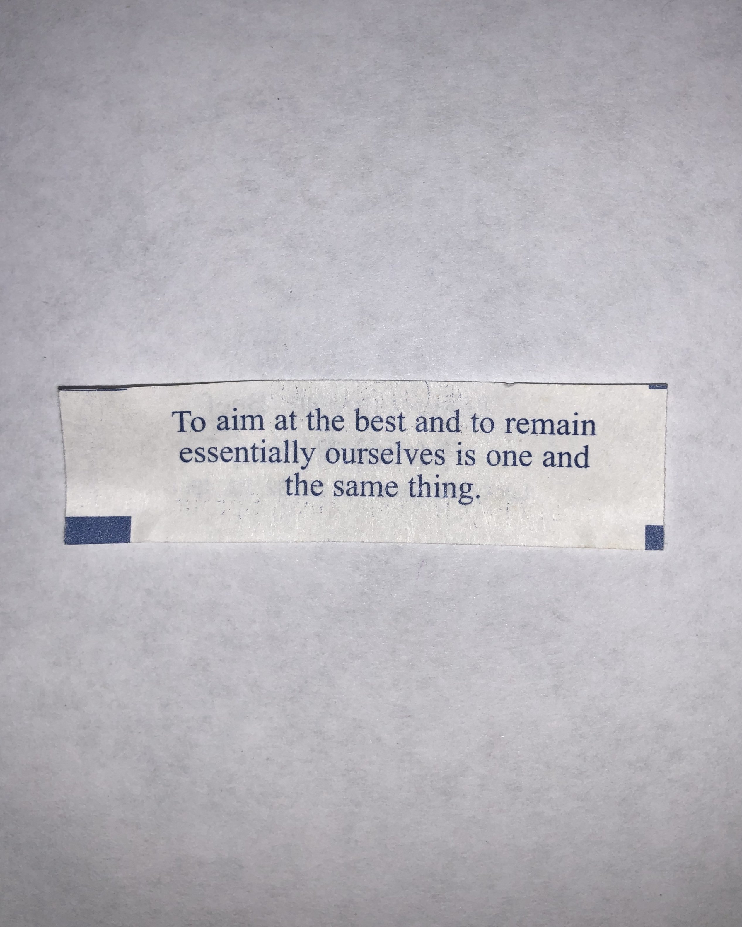 fortune cookie