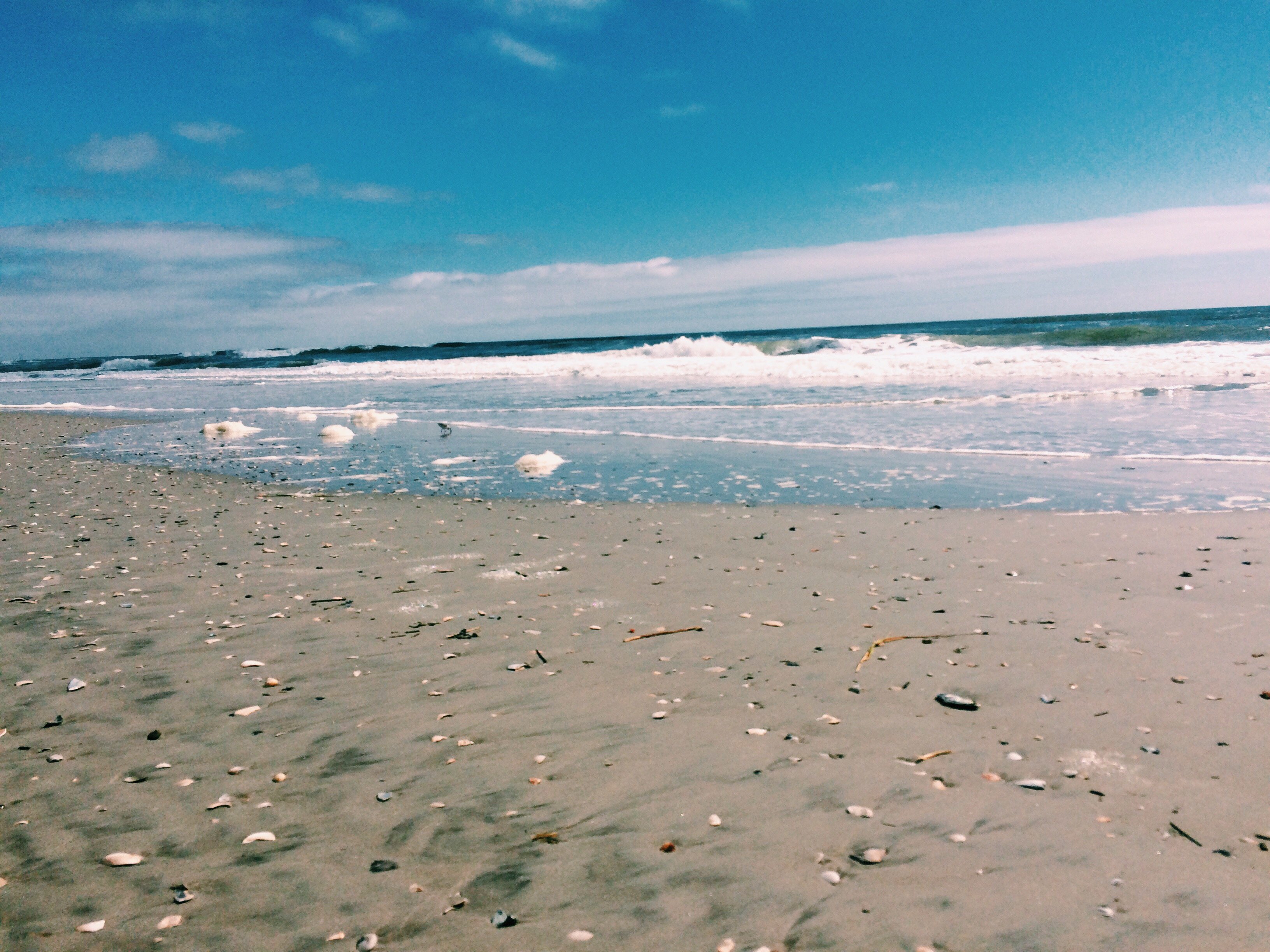 ab1f6c6afe1c490d99ea8c23e553f3e7jpegjpg by Cassie Nataro?width=698&height=466&fit=crop&auto=webp&dpr=4