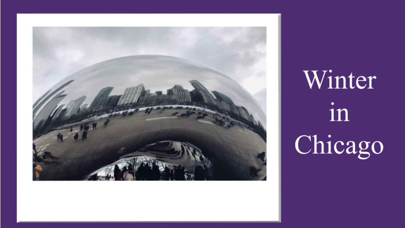 A picture I took of the Chicago bean plus my purple background