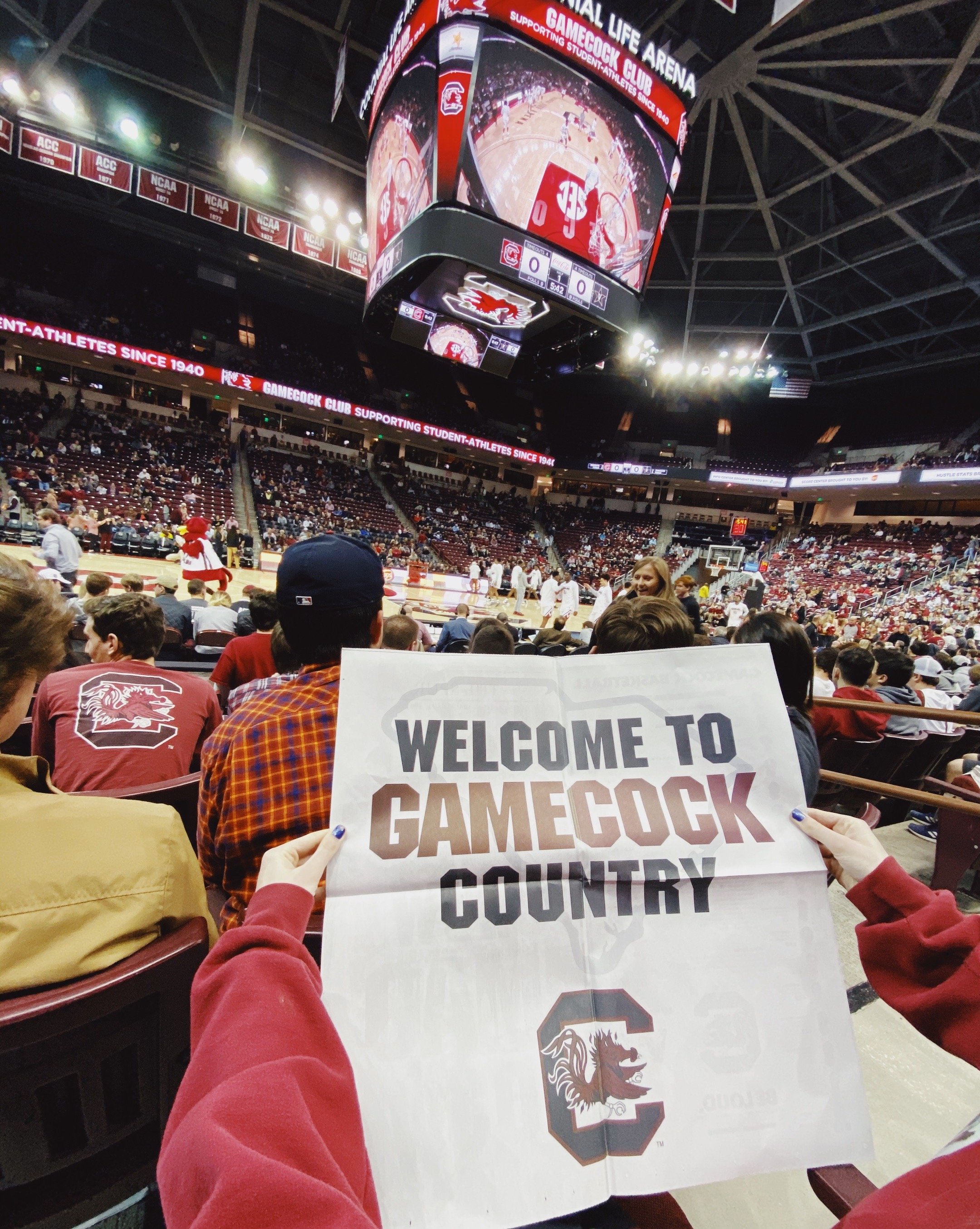basketball, university of south carolina