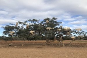 Photo for my traveling article