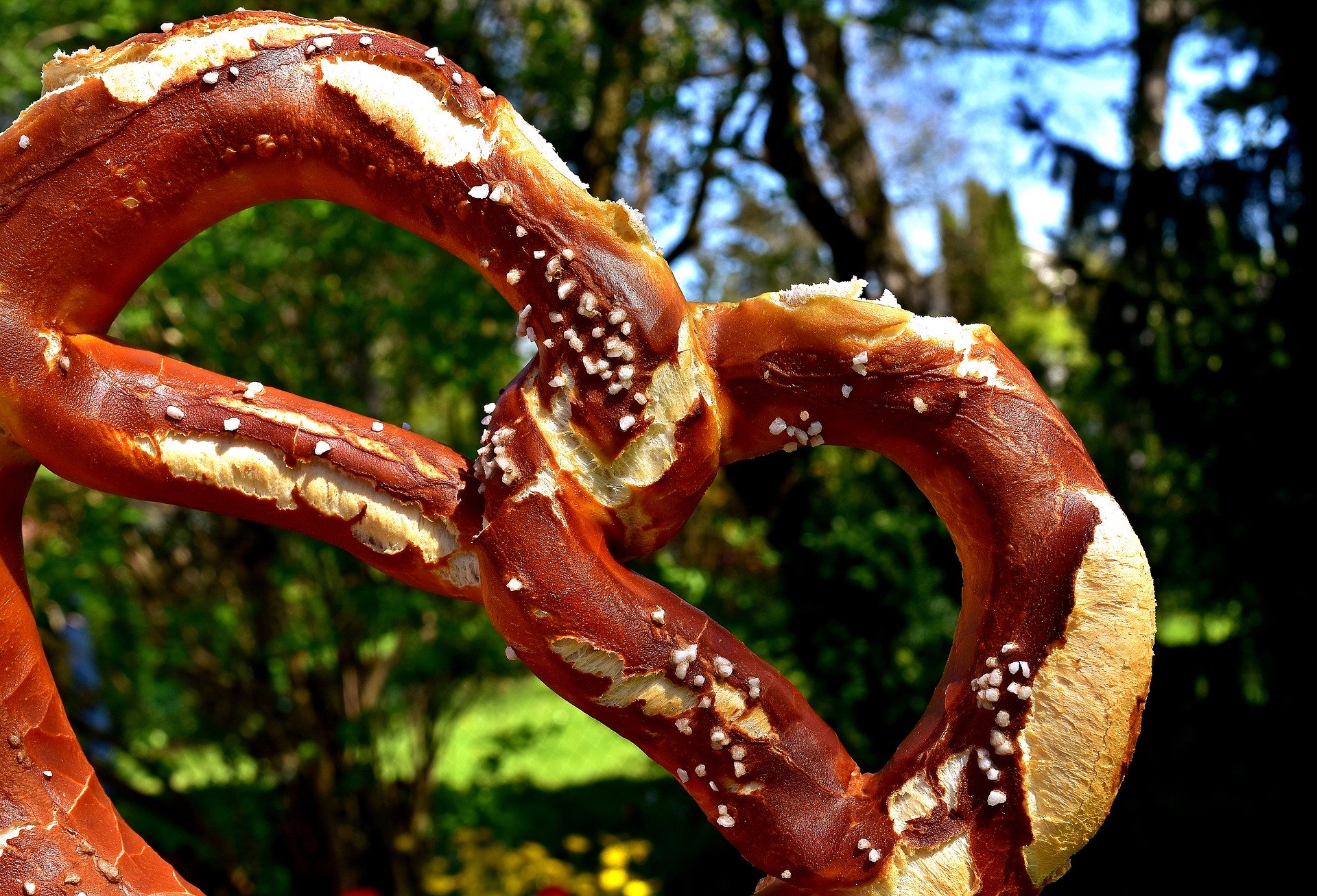 Bavarian pretzel