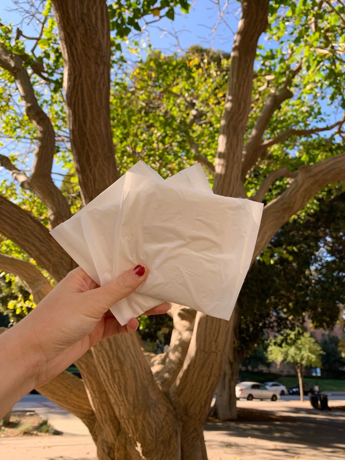 holding pads up in front of a tree