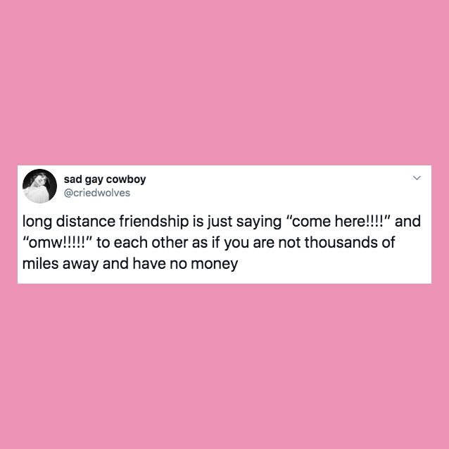 LDF meme?width=1280&height=854&fit=crop&auto=webp&dpr=4