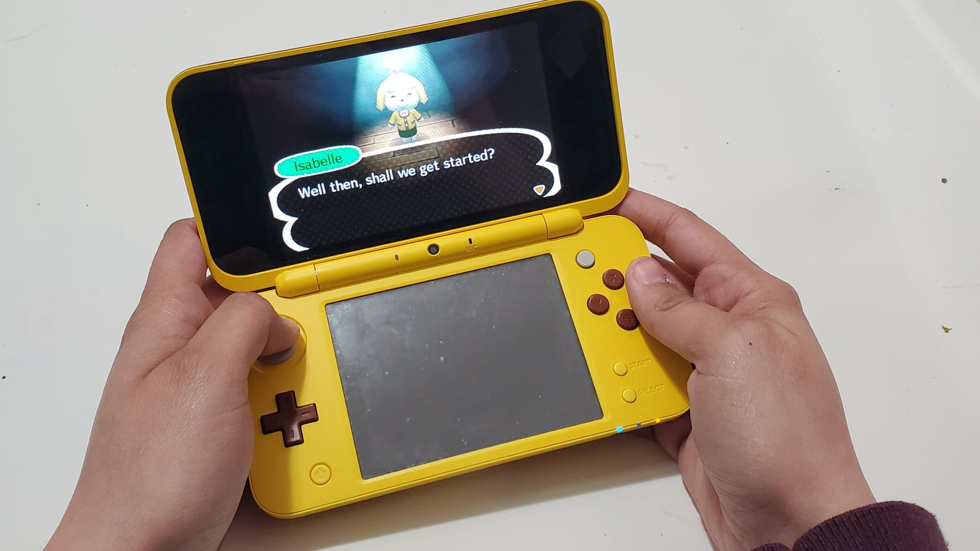 Animal Crossing being played on 3ds