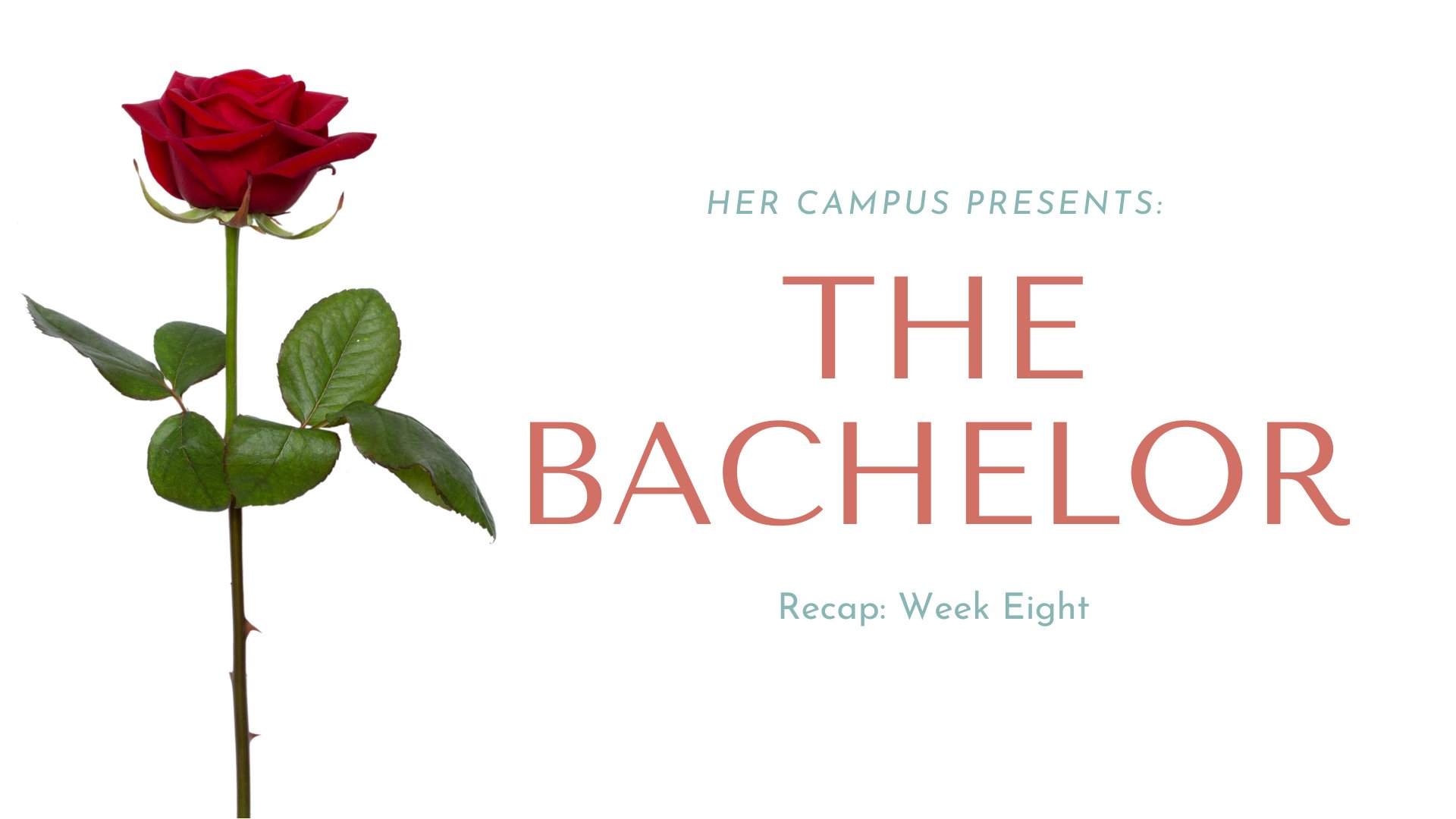 the bachelor week 8png by Canva?width=698&height=466&fit=crop&auto=webp&dpr=4