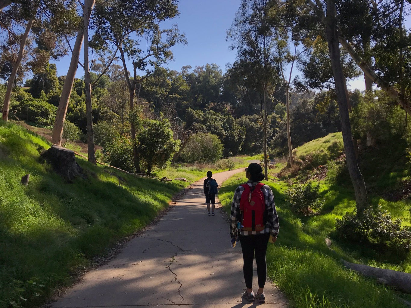 two people standing on a trail (spaced apart) with green trees all around them; the person closest to the camera has a red backpack