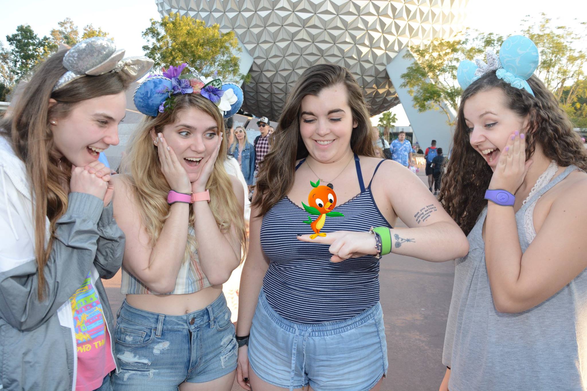 Disney Epcot photopass picture