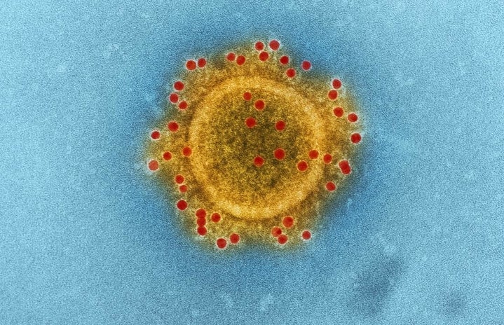 Corona Virus?width=719&height=464&fit=crop&auto=webp