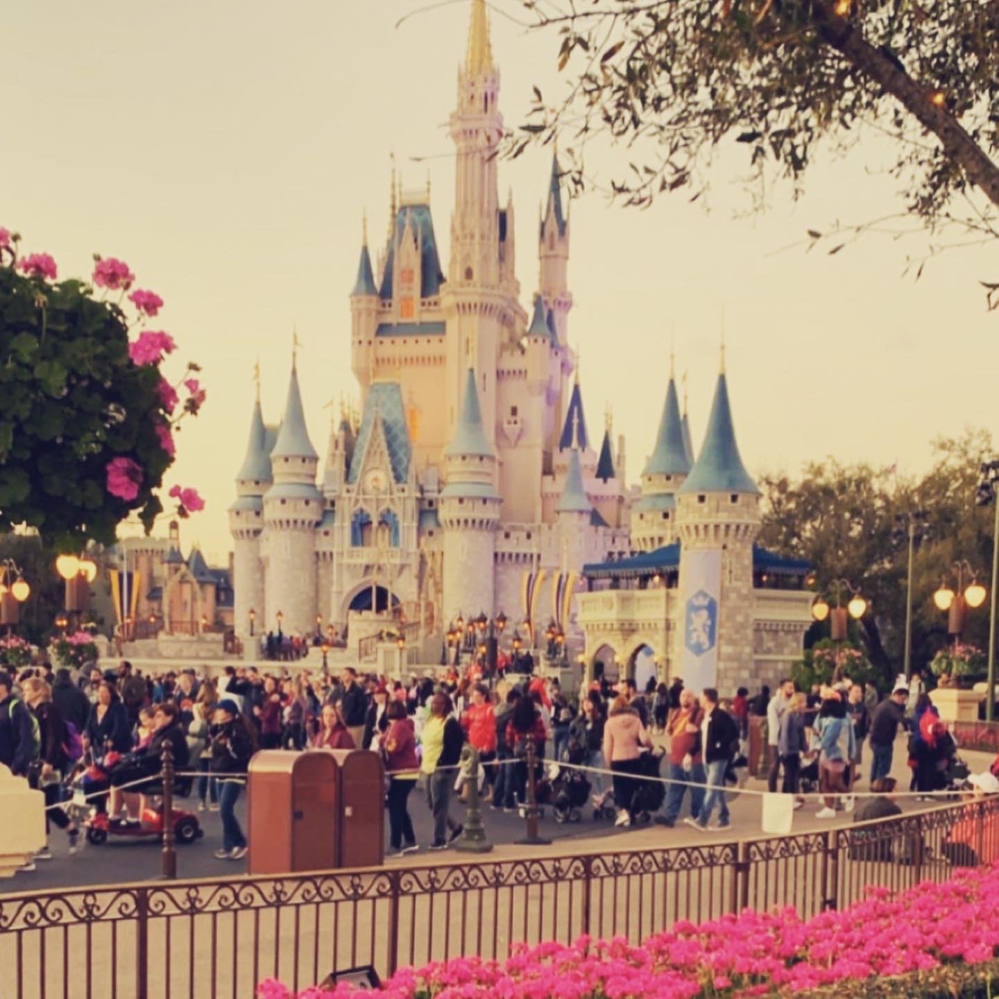 4ec8e85afe074fafbc9b214e4d4eef56jpg by Carly Silva?width=698&height=466&fit=crop&auto=webp&dpr=4