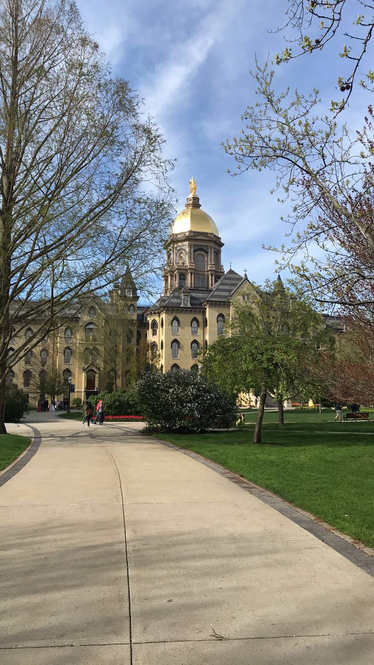 717291b9eb3d44e7925bcda4217ddeccjpegjpg by Meg Pryor?width=698&height=466&fit=crop&auto=webp&dpr=4