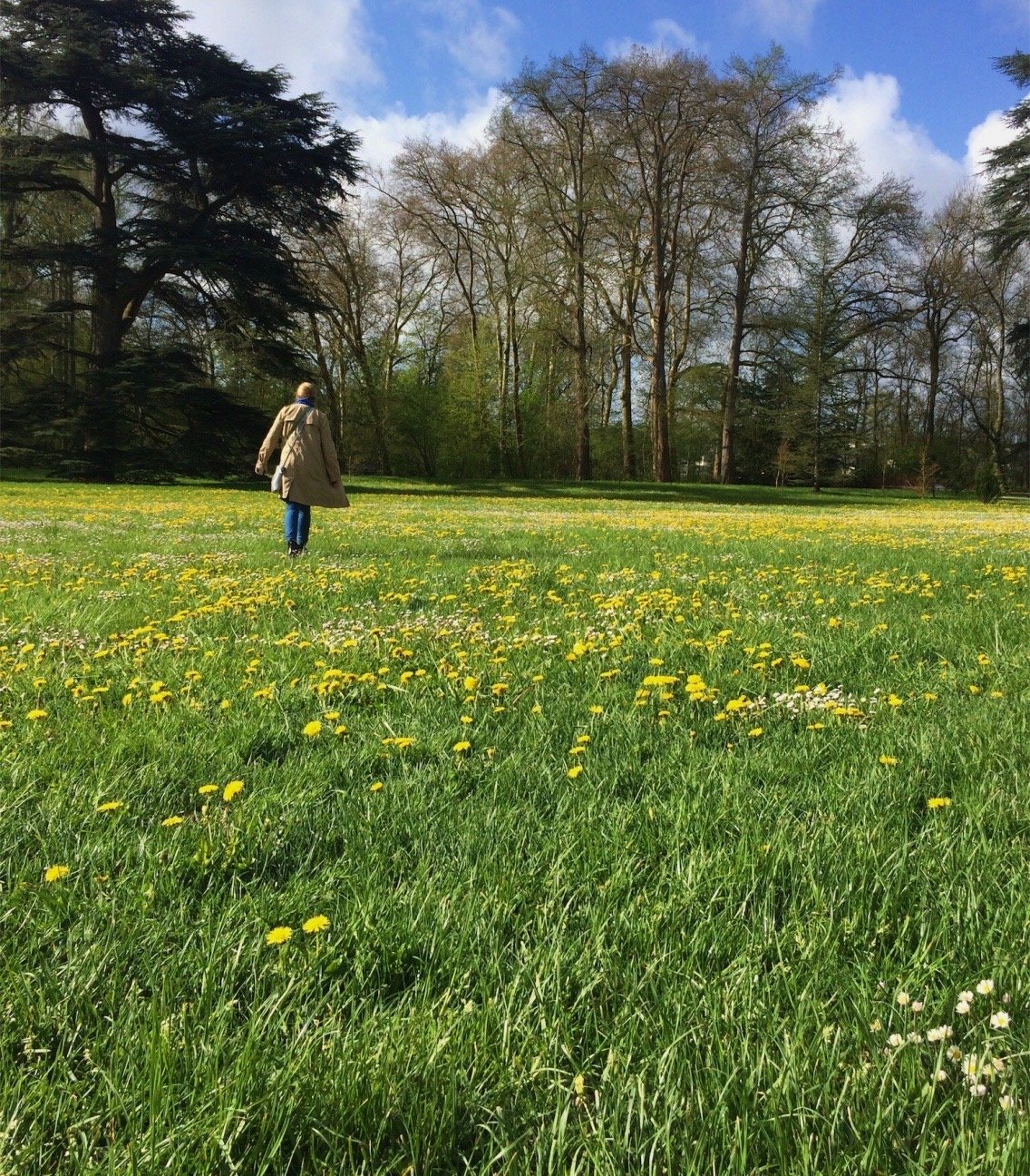 img 3524jpg by Sophia Apteker?width=698&height=466&fit=crop&auto=webp&dpr=4