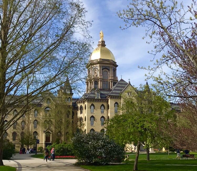 img 0031jpg by Meg Pryor?width=698&height=466&fit=crop&auto=webp&dpr=4