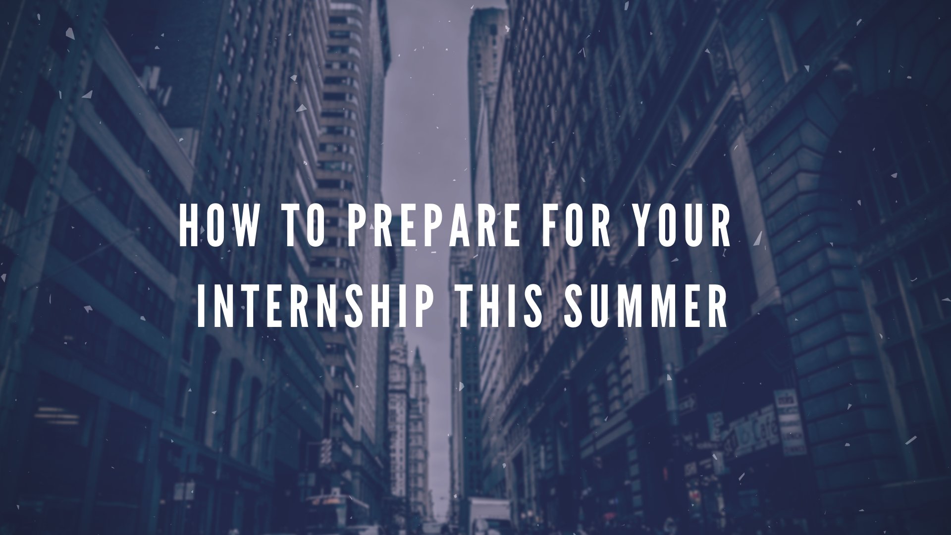 Summer Internship Hero Image