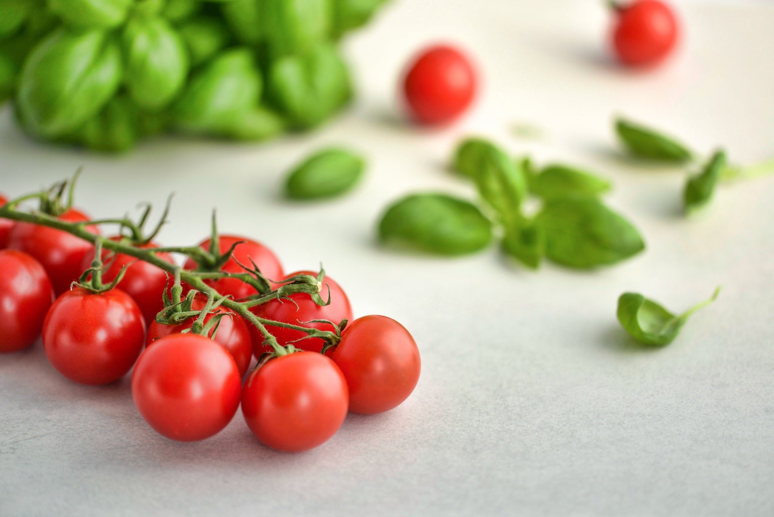 vine of small tomatoes