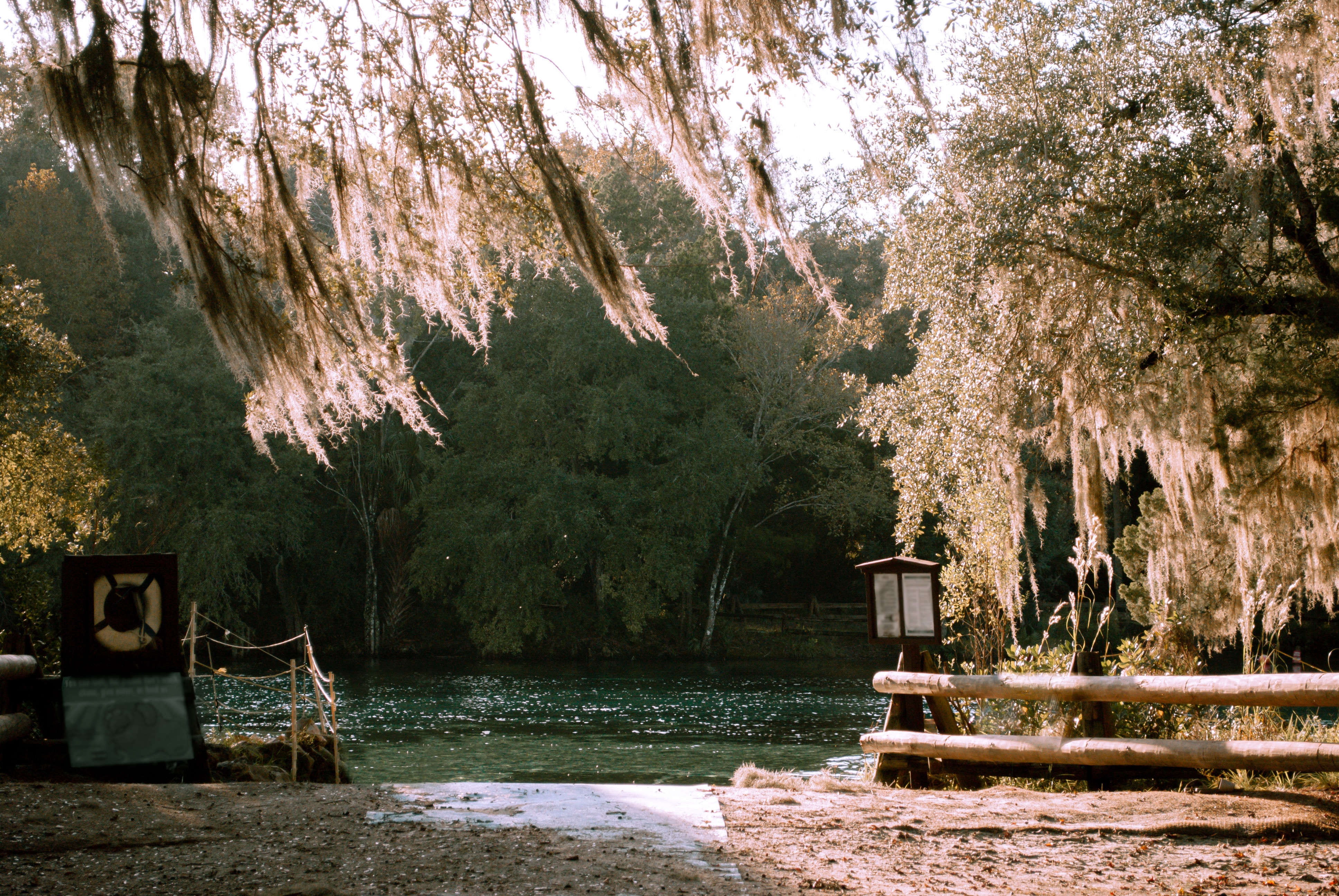 Picture of a fresh water spring at dusk.