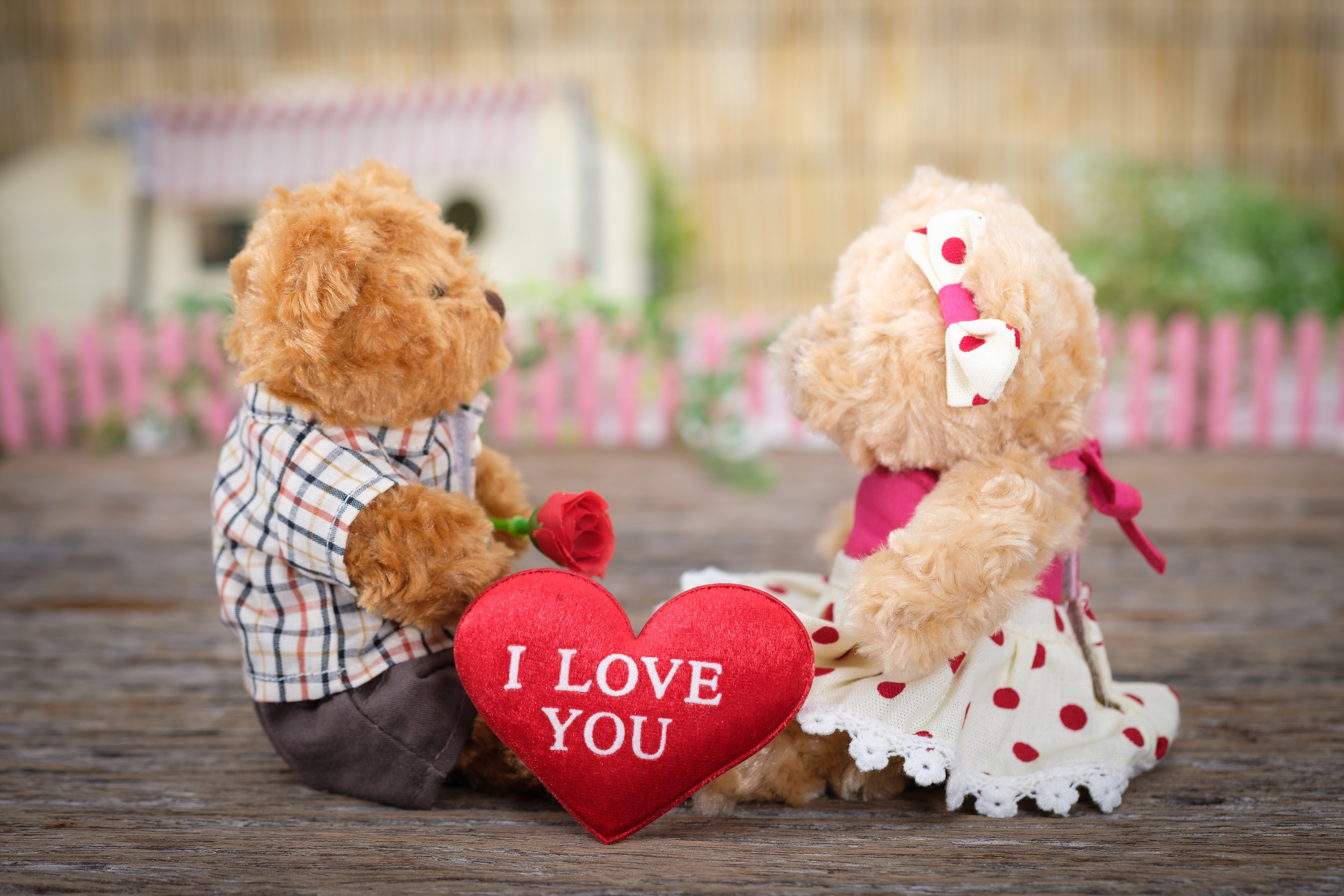 two teddy bears with a heart that says \"i love you\" between them