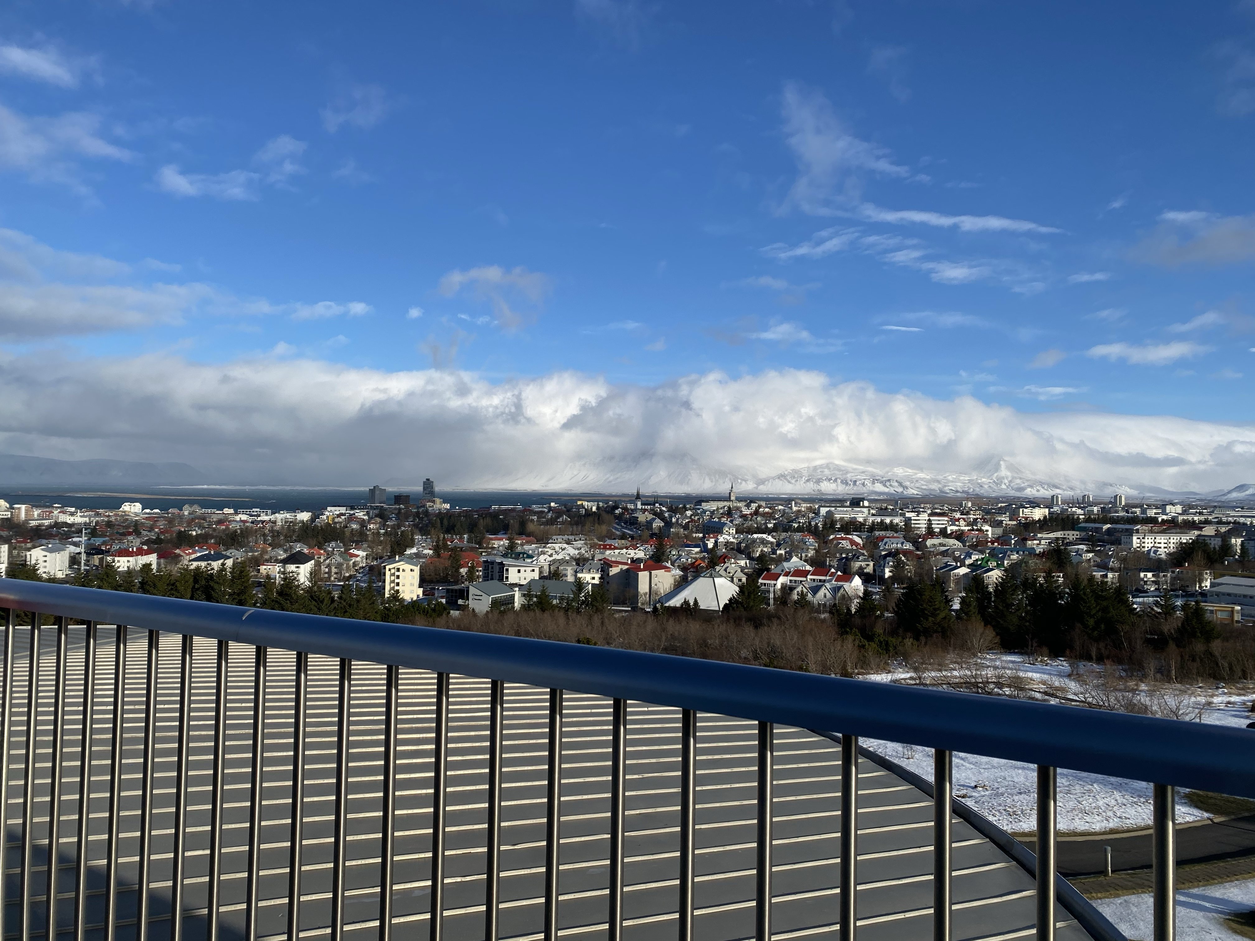 View over Reykjavik
