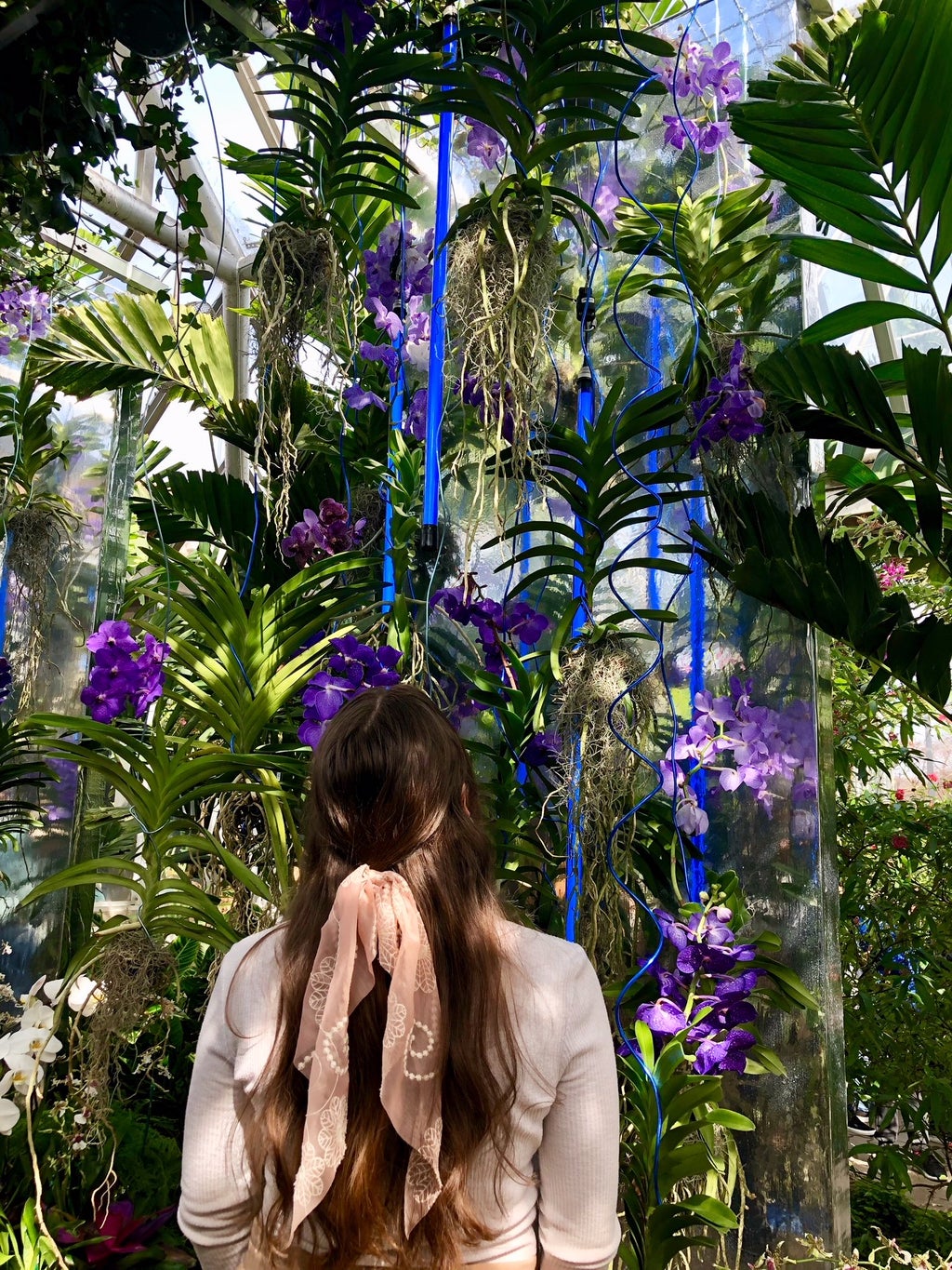 Girl with hair bow looking up at flowers