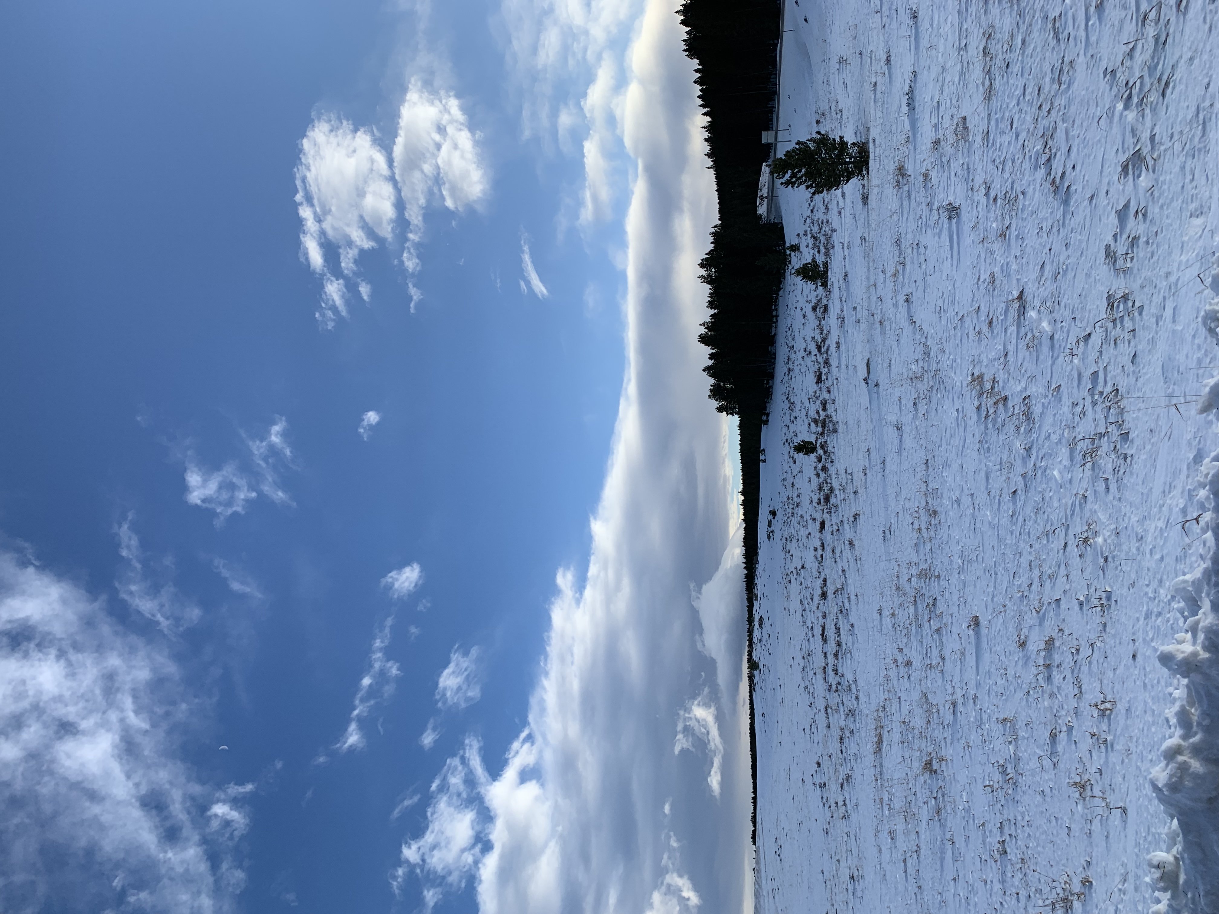 Bighorn Mountains in Wyoming, snow