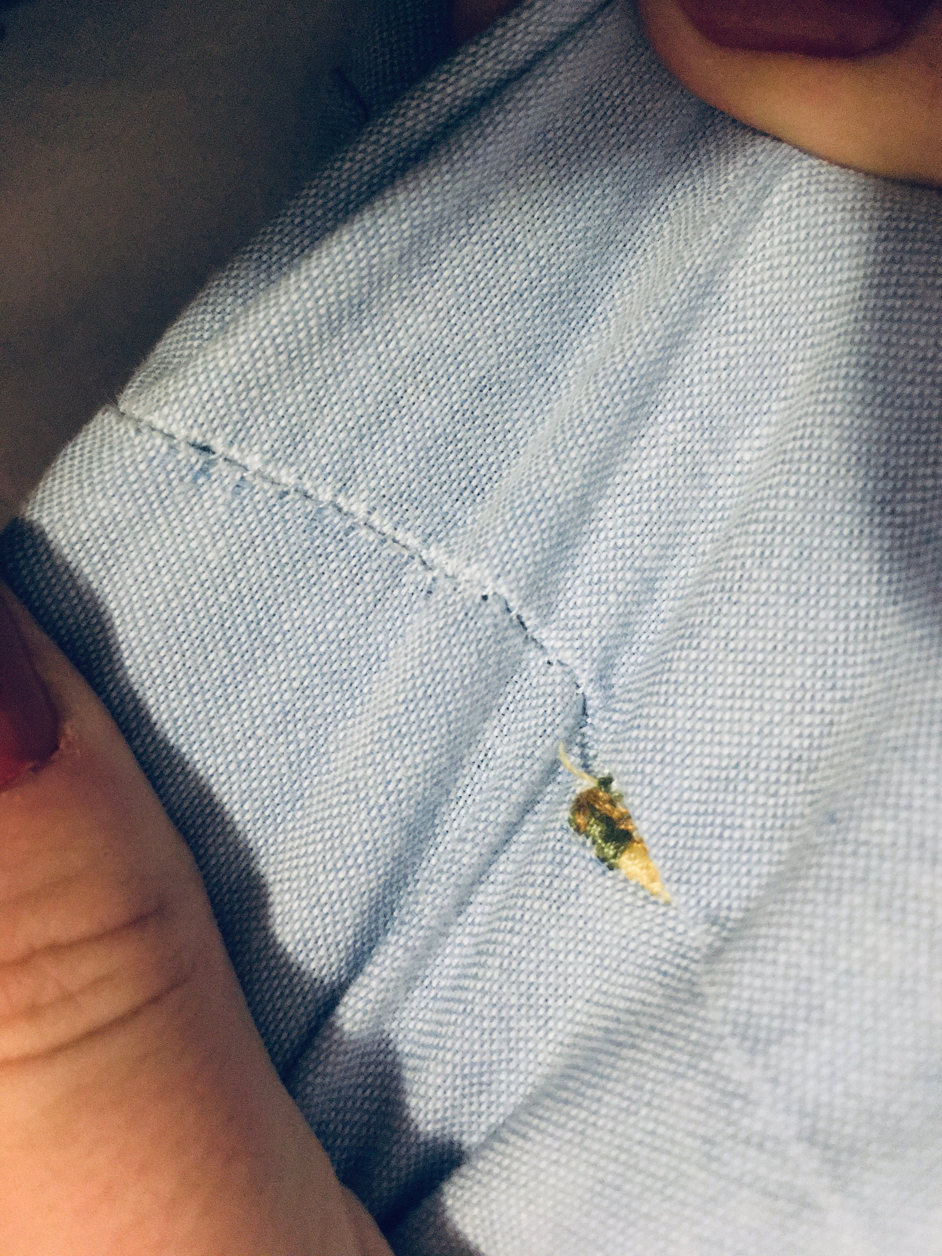 Listicle Item 4 Pull On Seams?width=698&height=466&fit=crop&auto=webp&dpr=4