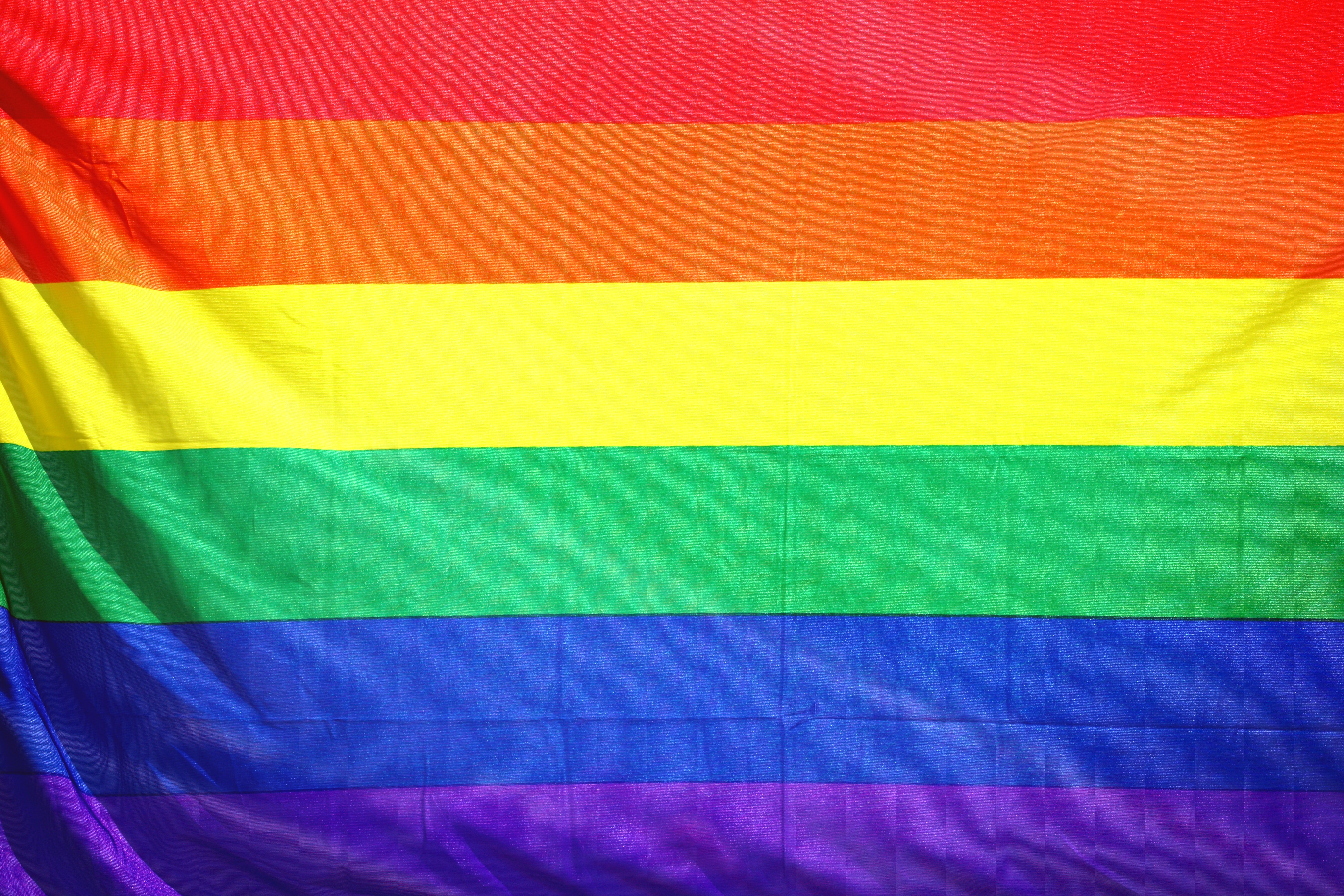 lgbtflag1317534jpg by Sharon McCutcheon?width=698&height=466&fit=crop&auto=webp&dpr=4