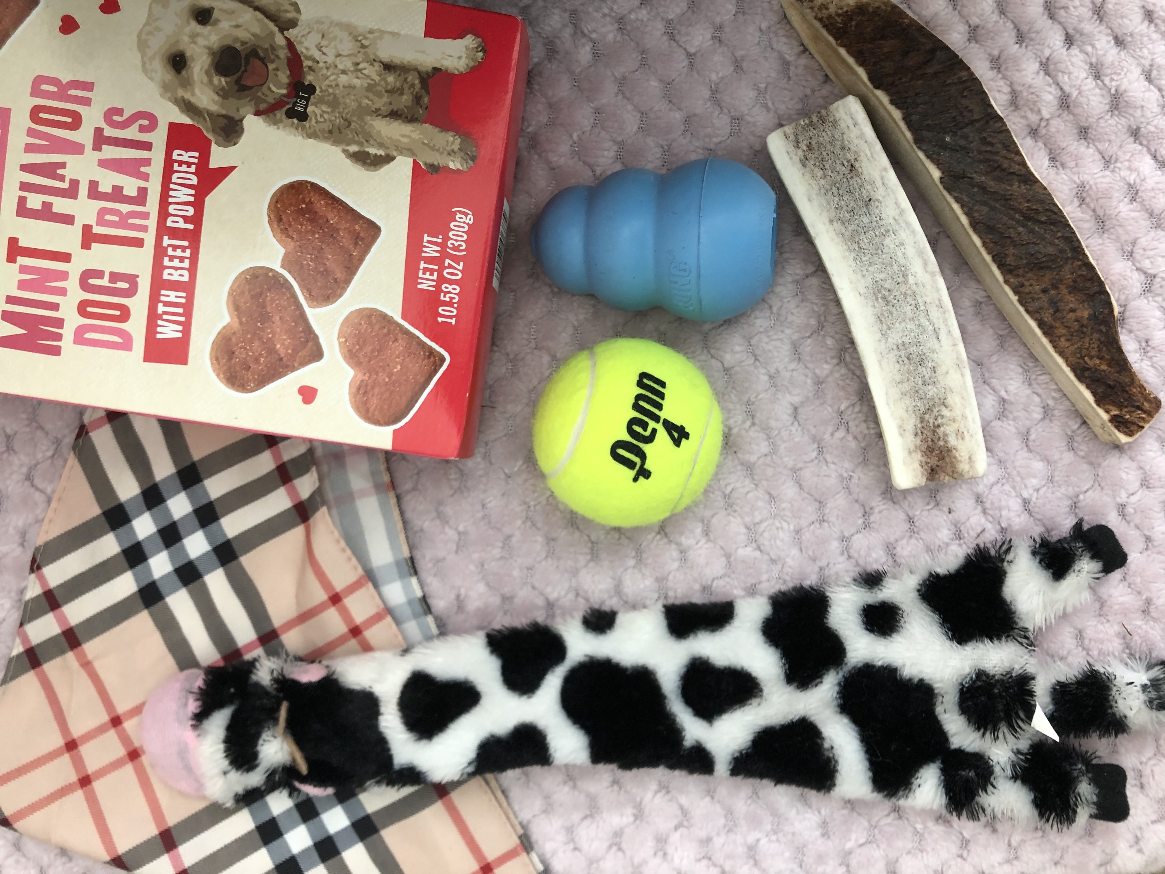 Dog treats, bones, toys