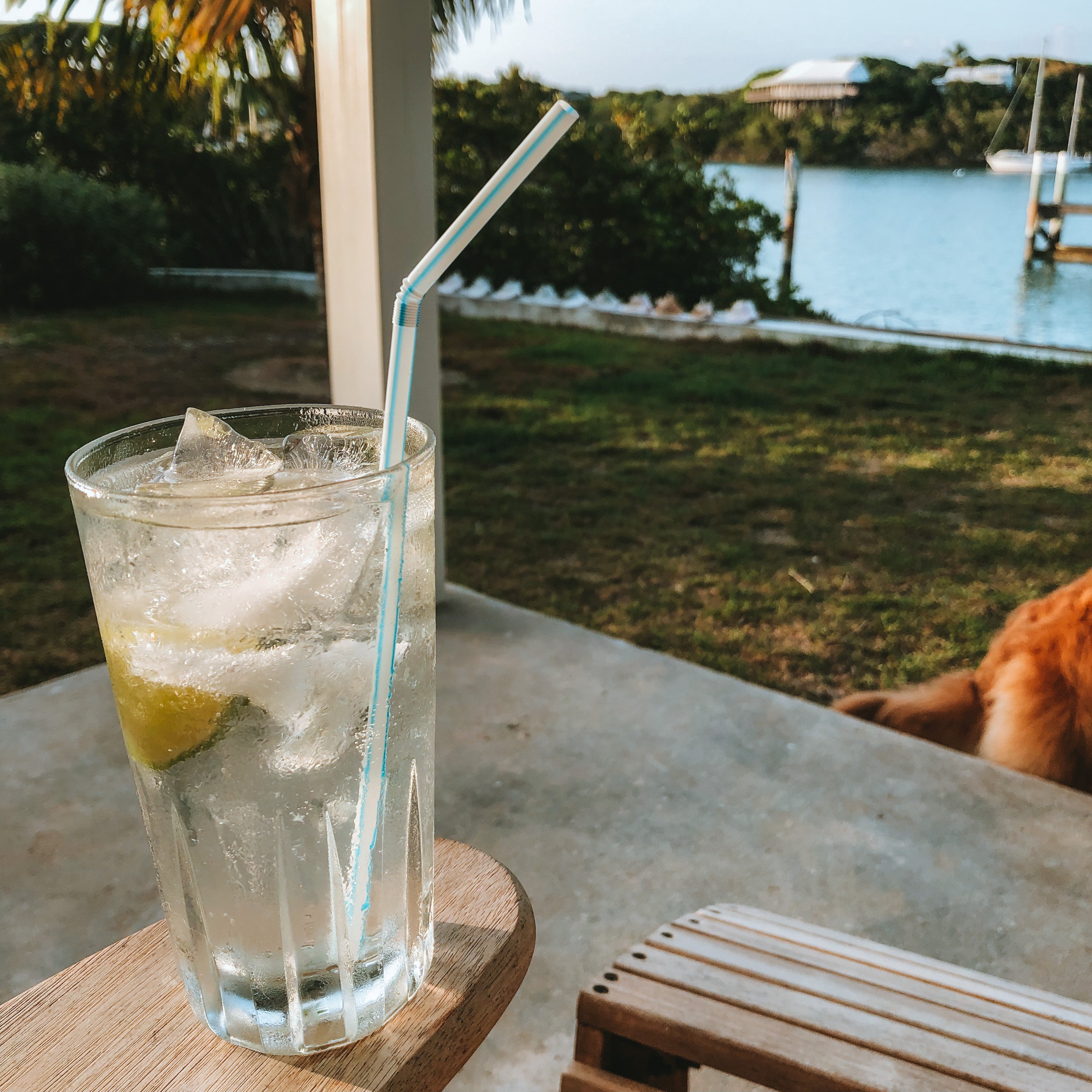 img 2742jpg by Ingrid Marinak?width=698&height=466&fit=crop&auto=webp&dpr=4