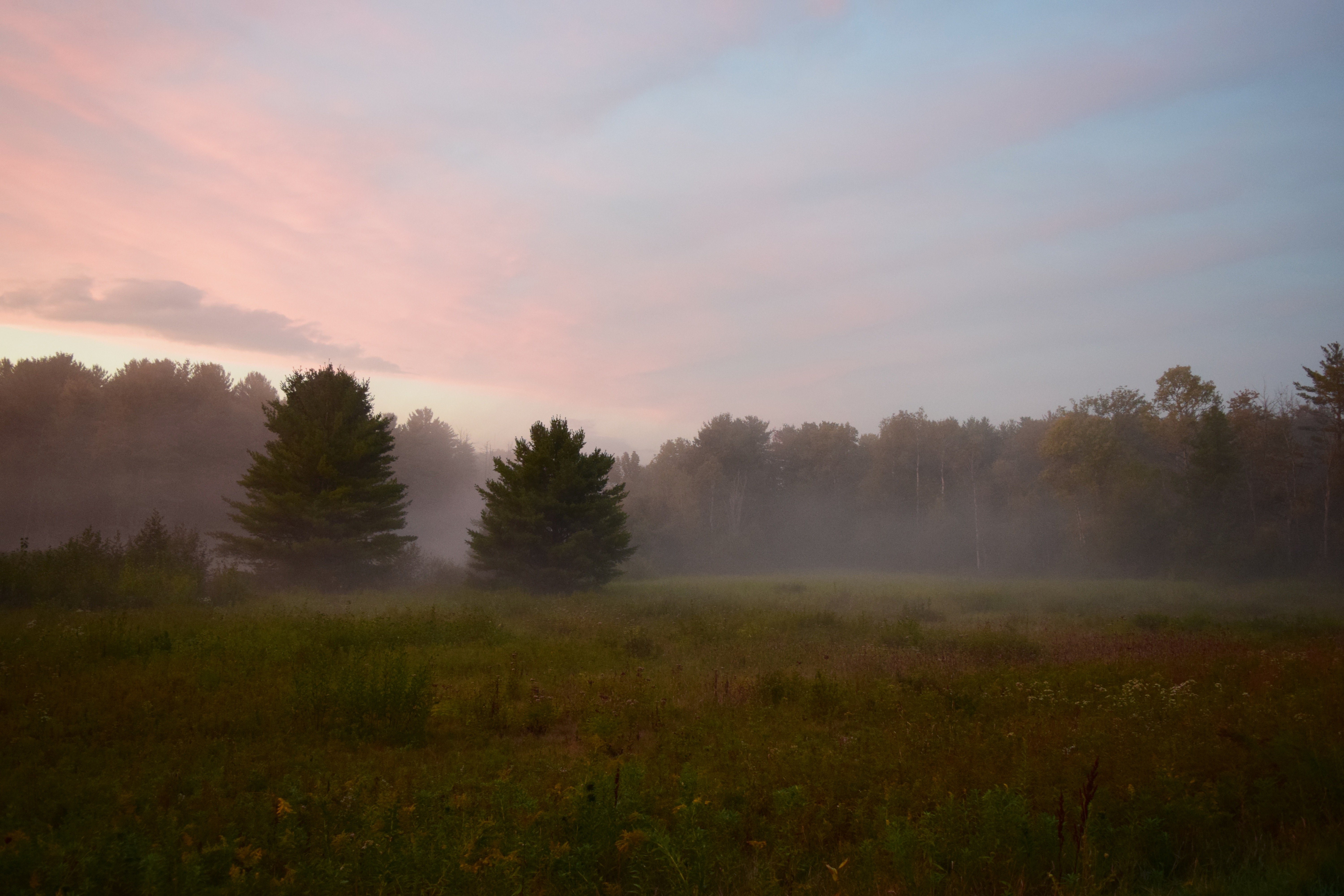 sunset over a foggy field