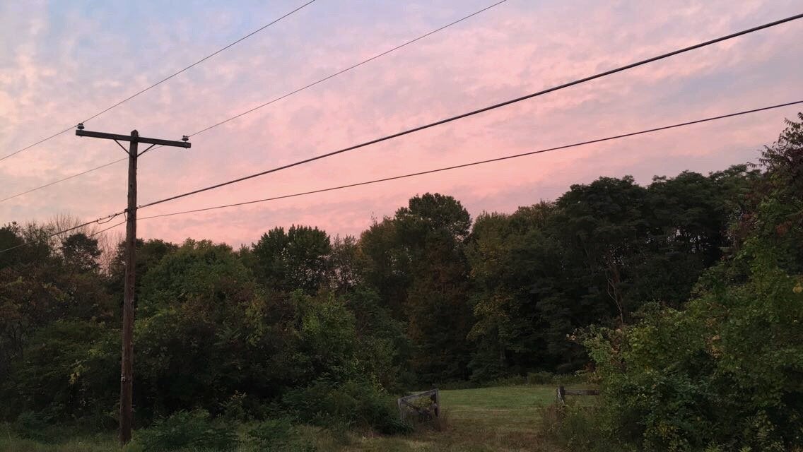 sunset over a field and telephone wires