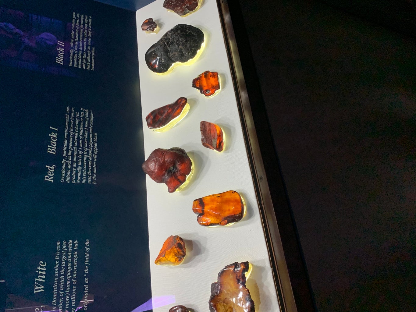 amber stones from museum