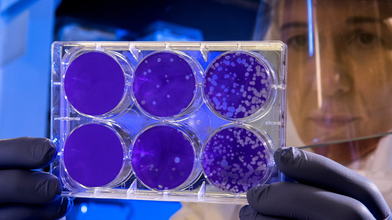 Rep Image Week 3png?width=698&height=466&fit=crop&auto=webp&dpr=4