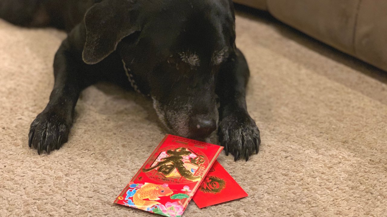 week3 rep imagepng?width=698&height=466&fit=crop&auto=webp&dpr=4