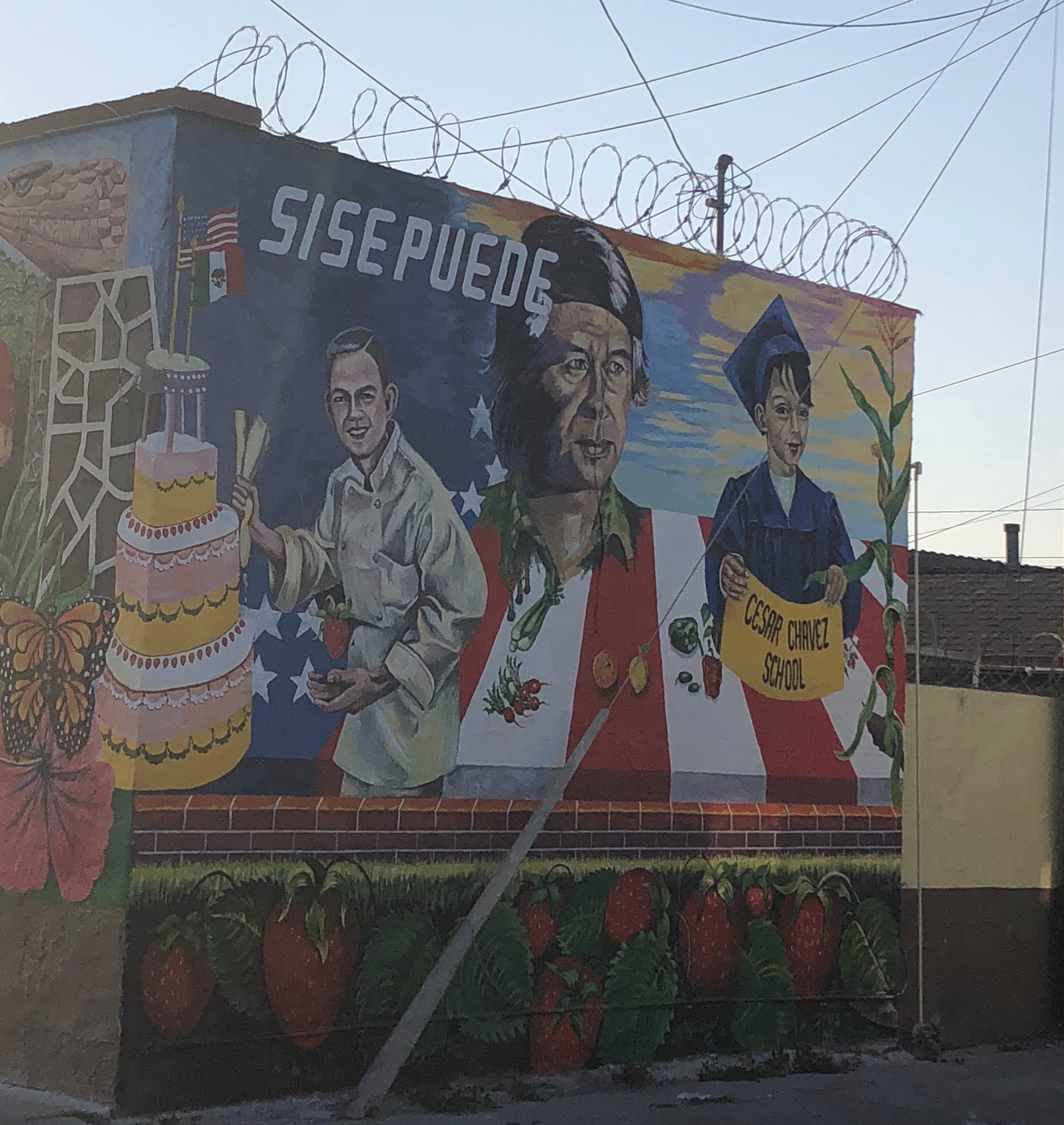 IMG 5253 2jpg?width=698&height=466&fit=crop&auto=webp&dpr=4