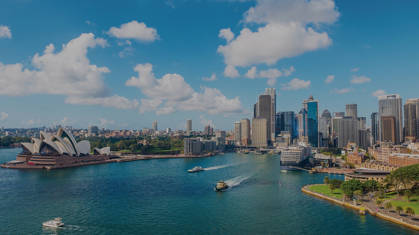 sydneyjpg?width=1024&height=1024&fit=cover&auto=webp&dpr=4