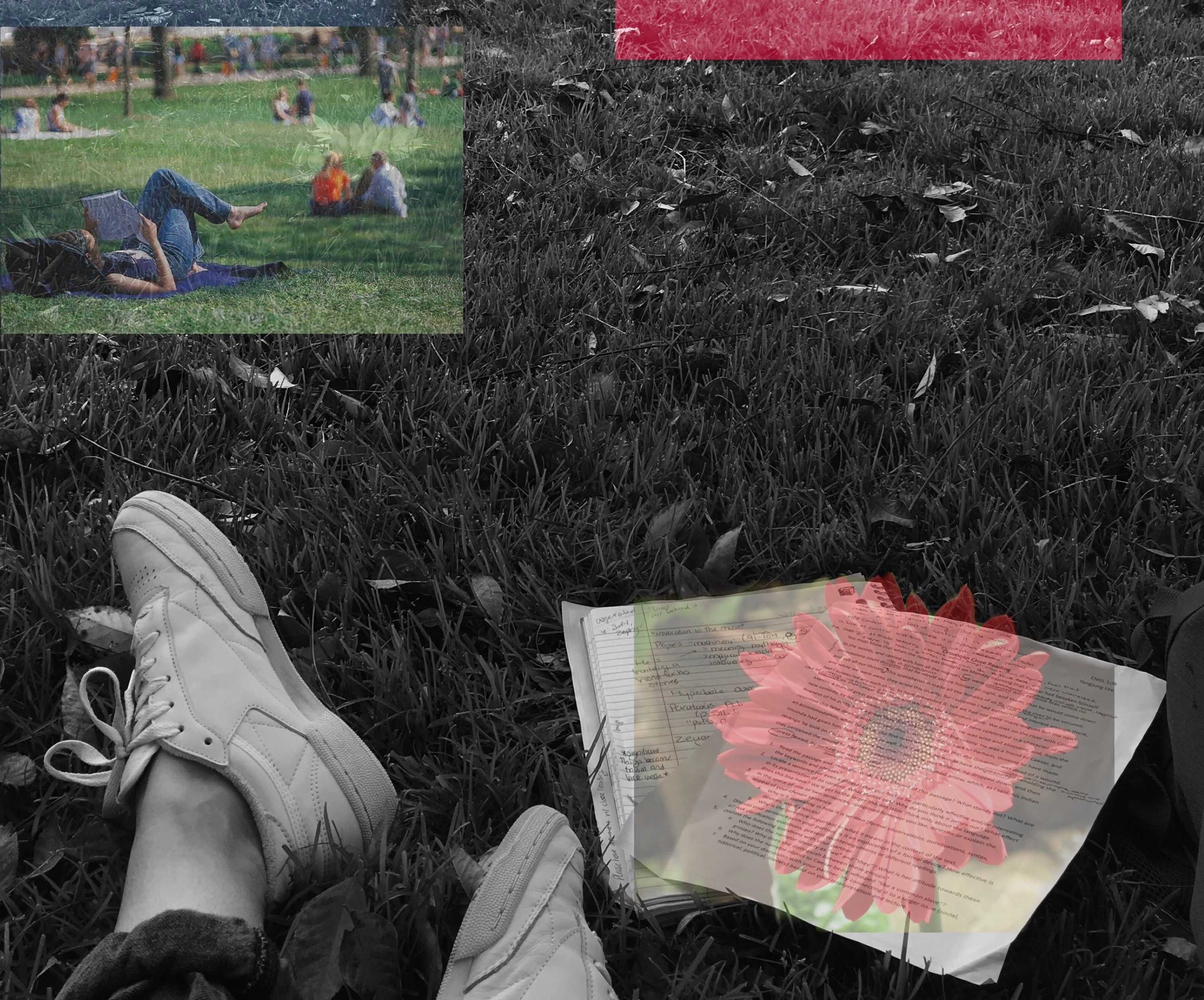 IMG 2948JPG?width=698&height=466&fit=crop&auto=webp&dpr=4