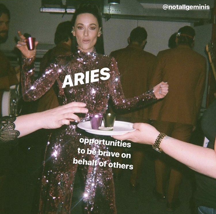 IMG 5508jpg?width=1024&height=1024&fit=cover&auto=webp&dpr=4