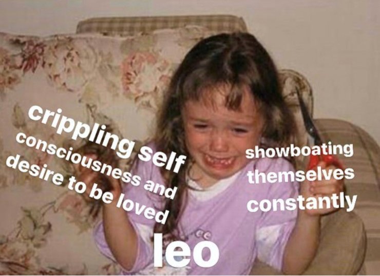 Screen Shot 2019 12 24 at 43425 PMpng?width=1024&height=1024&fit=cover&auto=webp&dpr=4