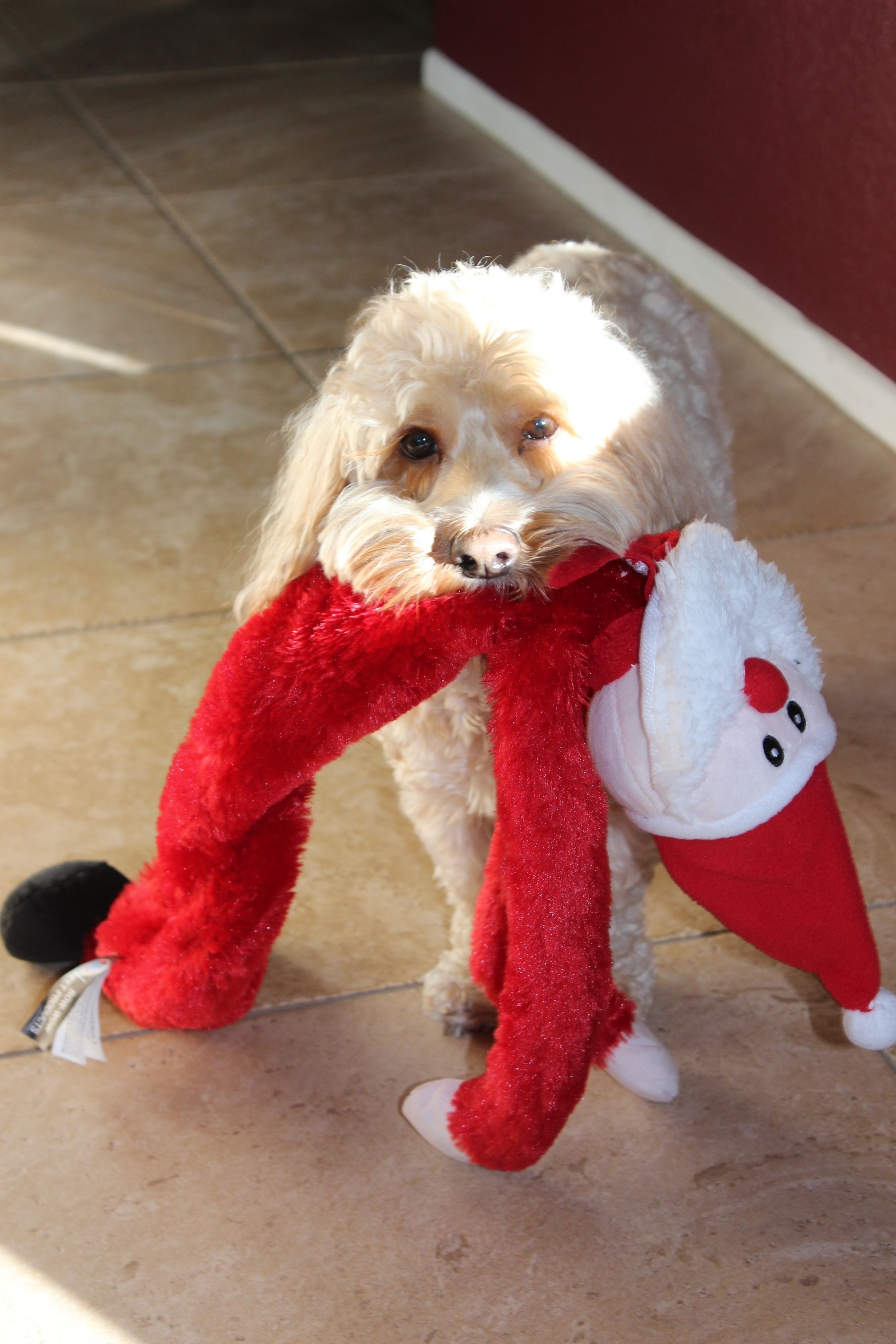 IMG 7213JPG?width=1280&height=854&fit=crop&auto=webp&dpr=4