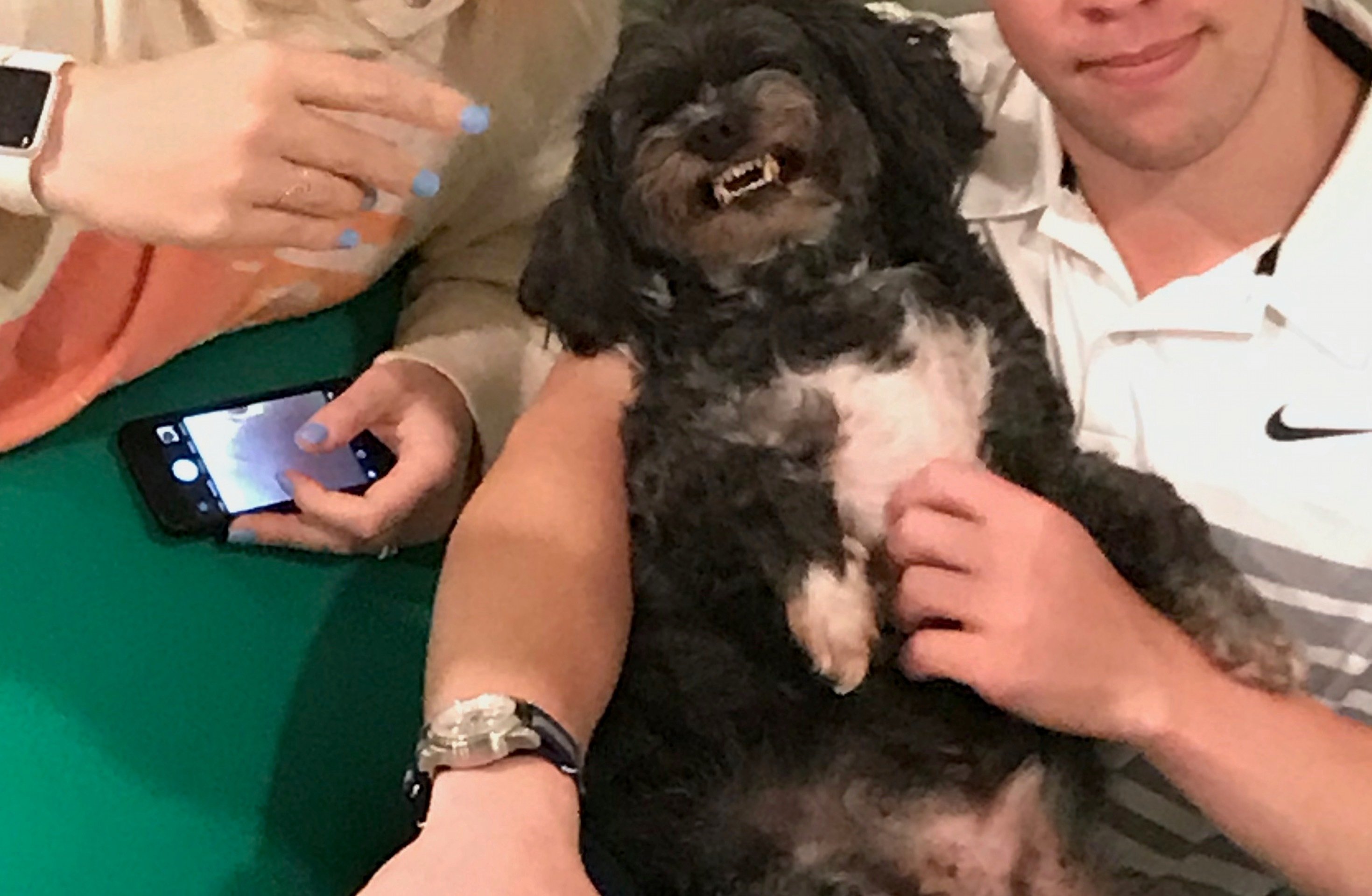 IMG 1179jpeg?width=698&height=466&fit=crop&auto=webp&dpr=4