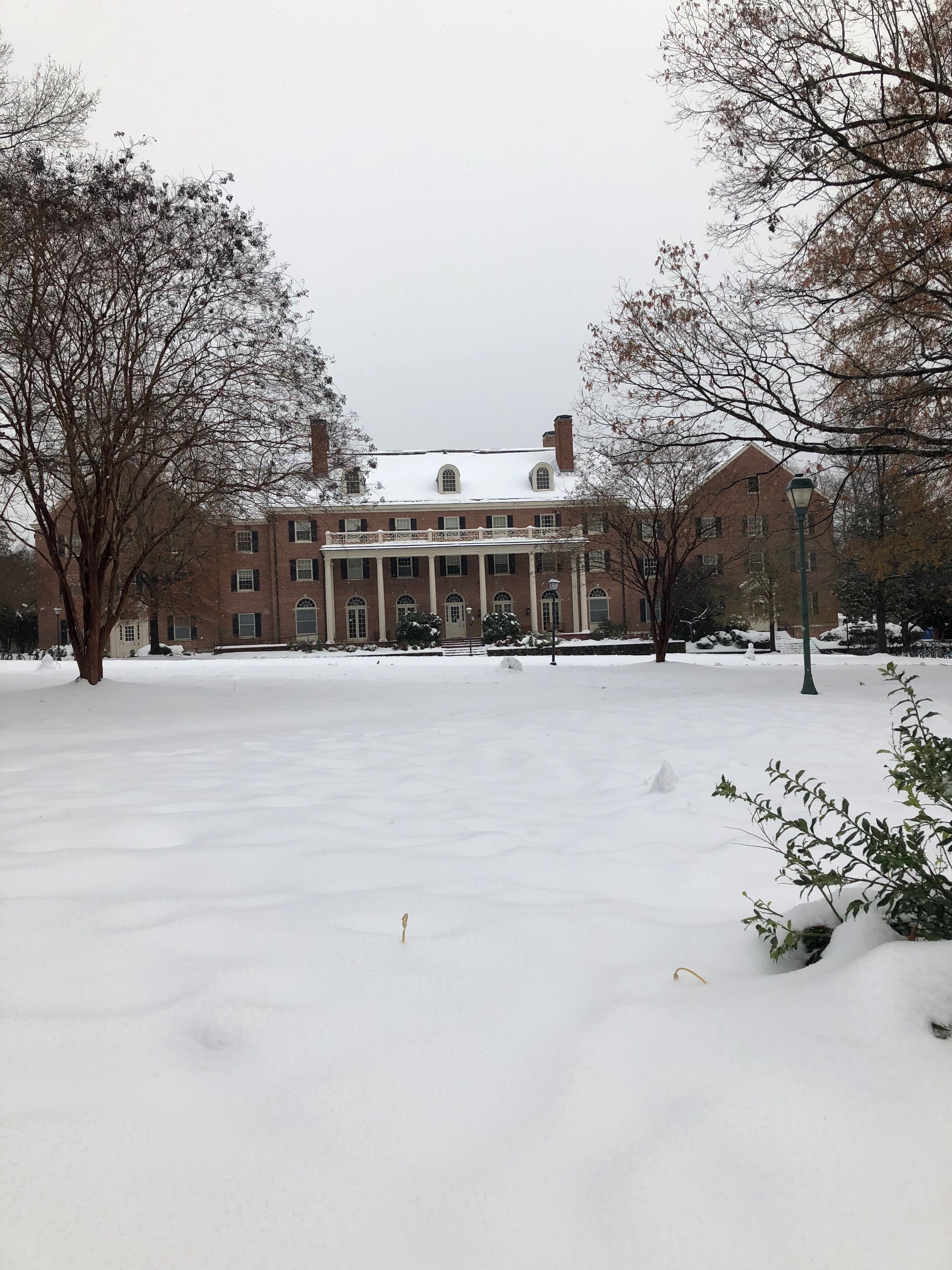 IMG 7538jpg?width=698&height=466&fit=crop&auto=webp&dpr=4