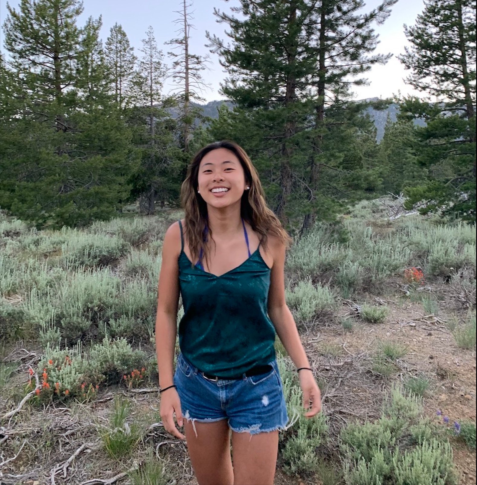 Screen Shot 2019 11 25 at 120319 PMpng?width=698&height=466&fit=crop&auto=webp&dpr=4