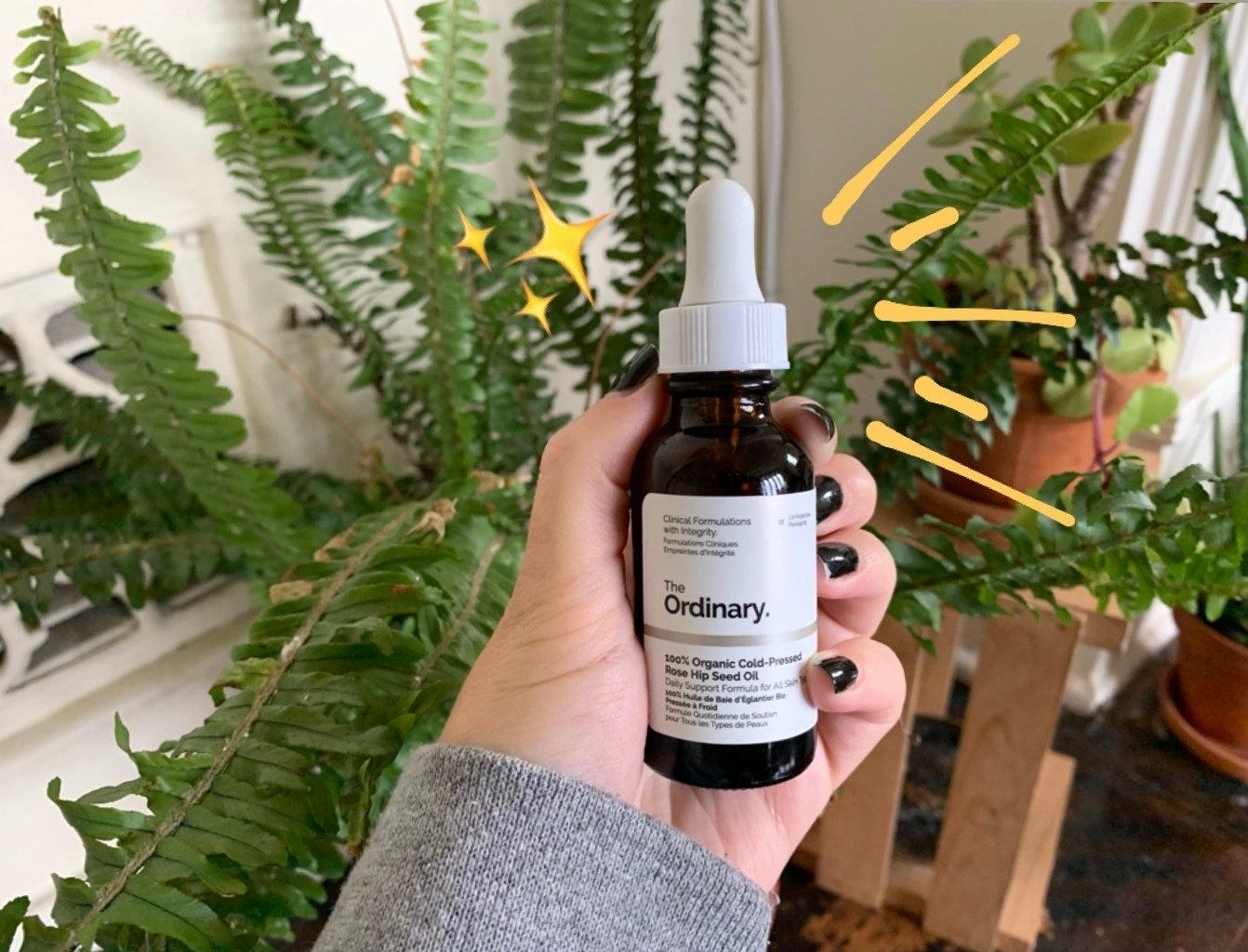 body images 2019 11 22 fullsizeoutput 1b7djpeg?width=698&height=466&fit=crop&auto=webp&dpr=4