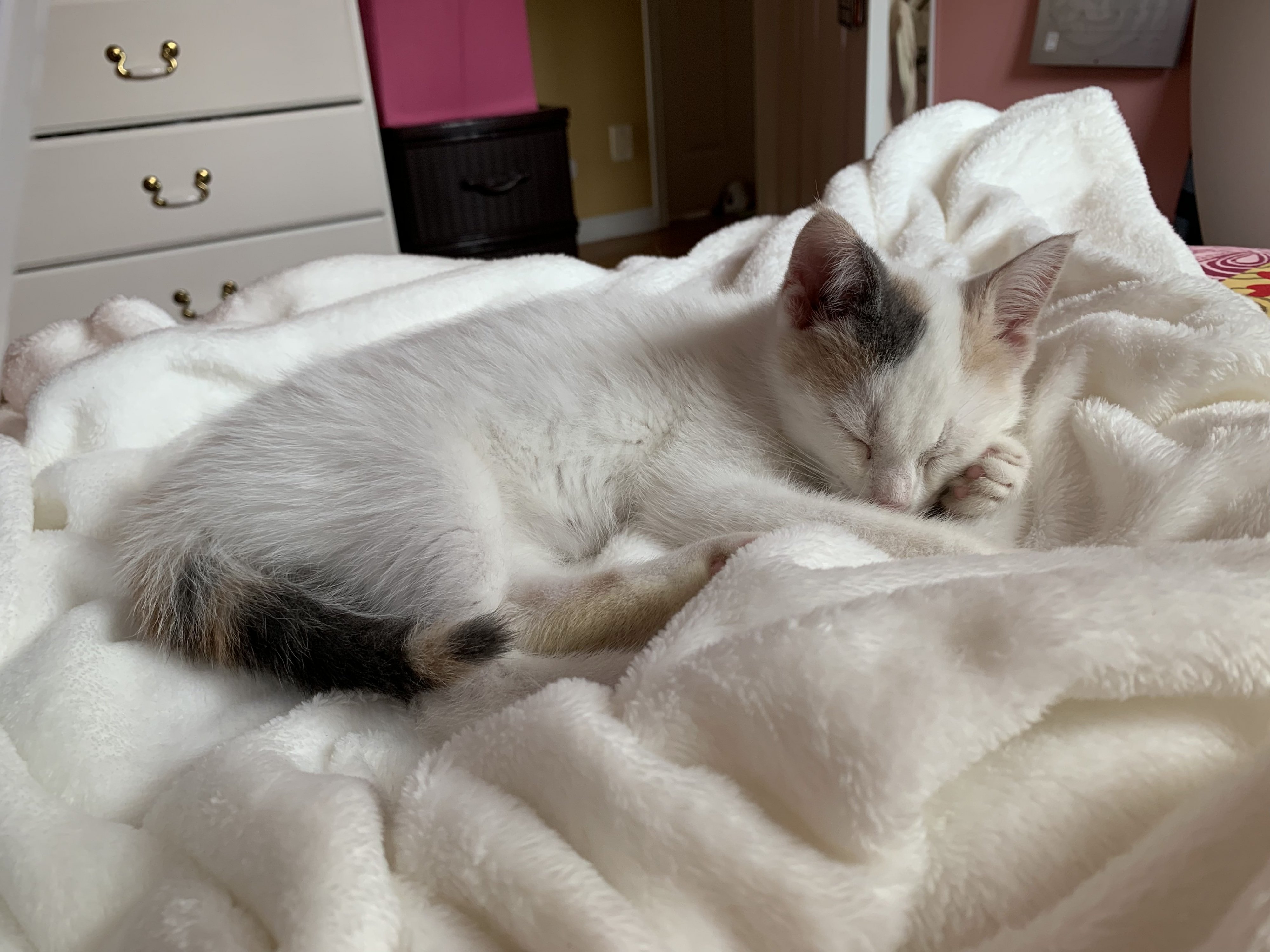 3E2B3E4C B637 4E8F AB8D CA0DB0B0EC75jpg?width=698&height=466&fit=crop&auto=webp&dpr=4