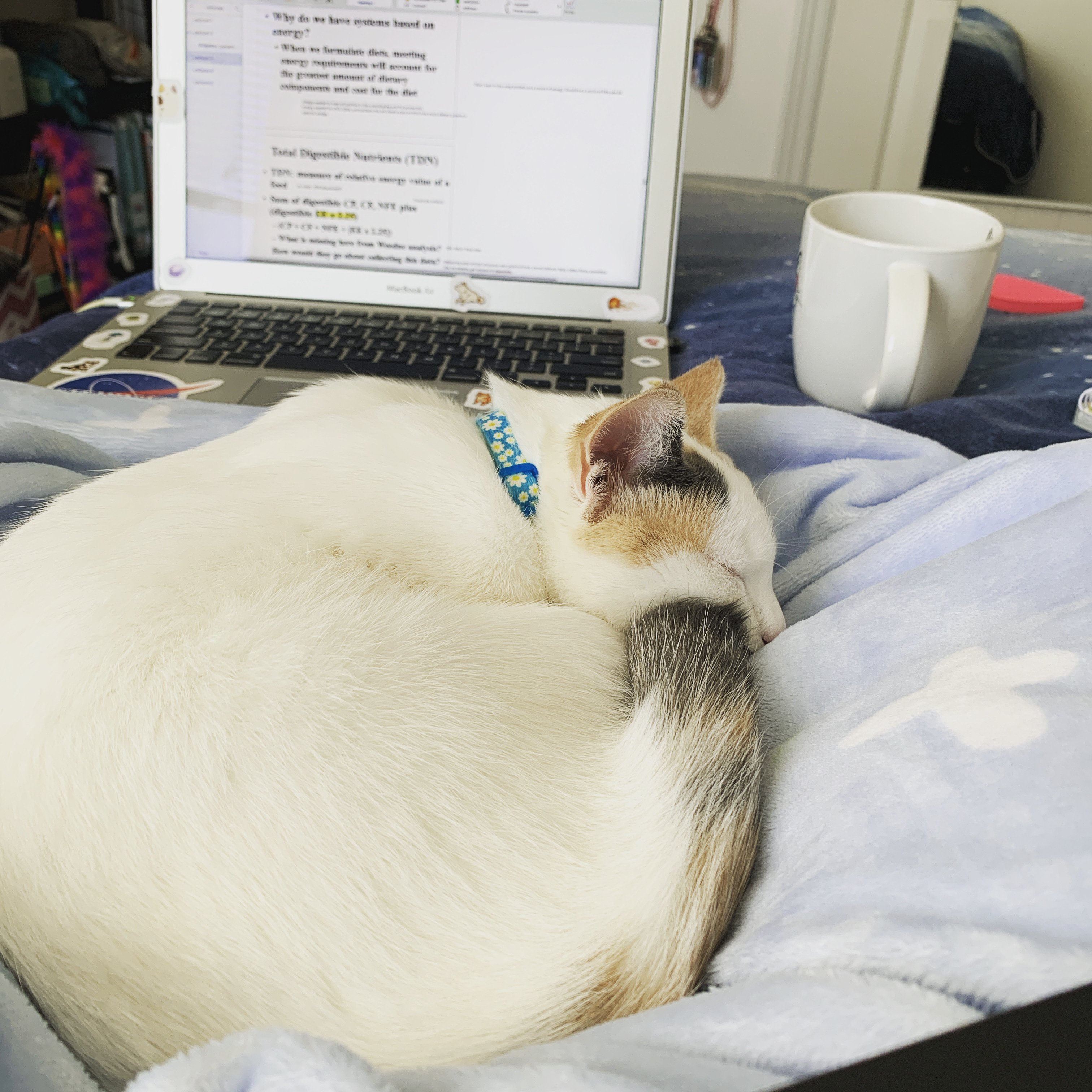 body images 2019 12 26 8F88EFD3 3524 4F96 AAA5 8B554359463Ajpeg?width=1024&height=1024&fit=cover&auto=webp&dpr=4