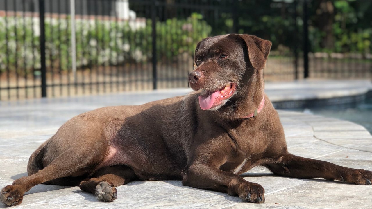 week 10 sophia headerpng?width=698&height=466&fit=crop&auto=webp&dpr=4